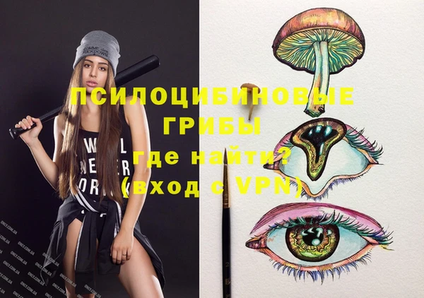 стафф Баксан