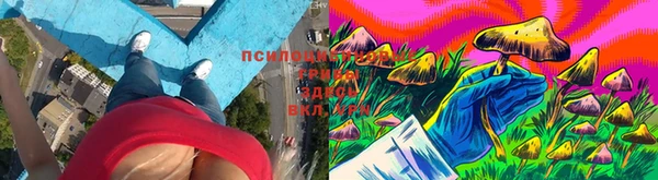 марки lsd Балабаново