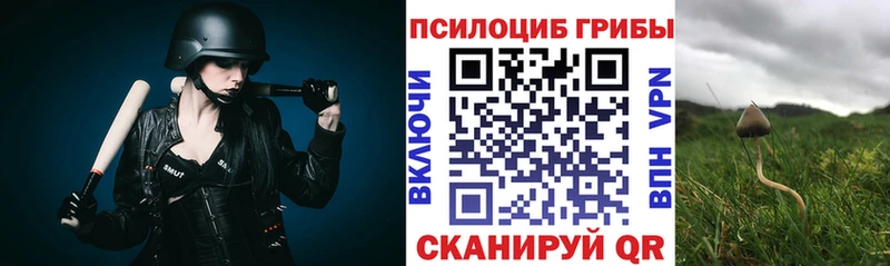 Галлюциногенные грибы Psilocybe  Высоцк 