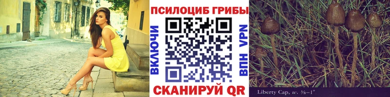 Псилоцибиновые грибы GOLDEN TEACHER Высоцк